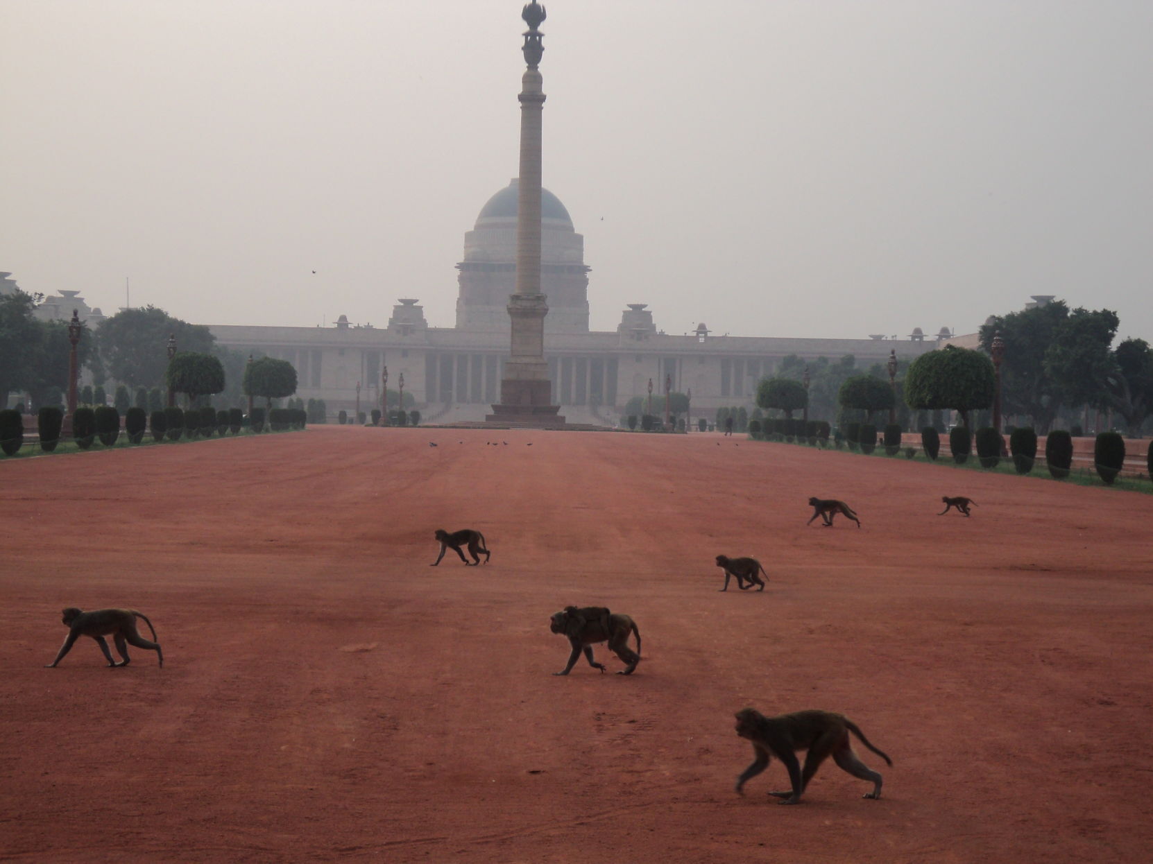 Delhi Presidential Palace